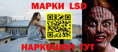 PSILOCYBIN Бугуруслан