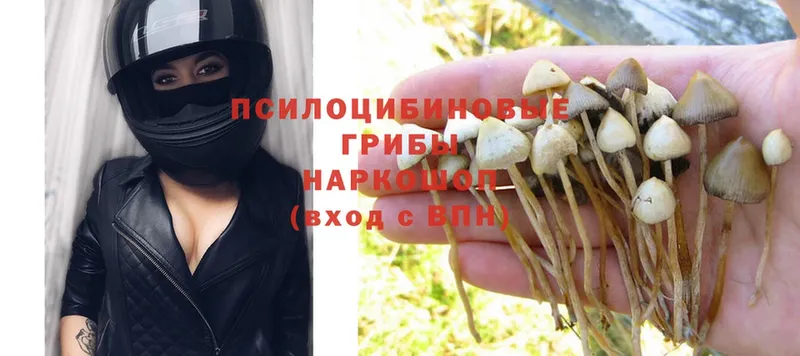 Псилоцибиновые грибы MAGIC MUSHROOMS Тавда