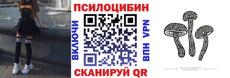 Псилоцибиновые грибы Psilocybine cubensis Тавда