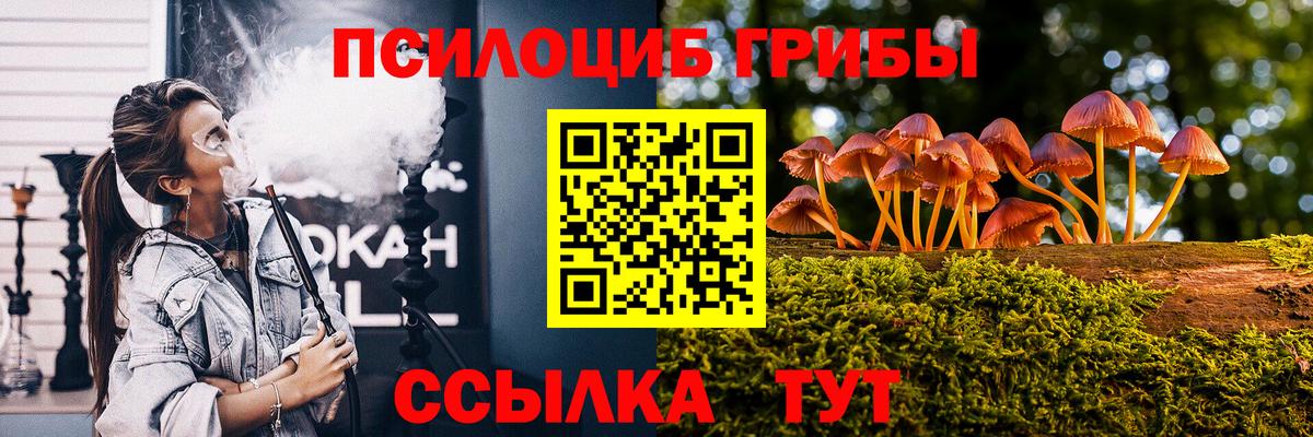 Галлюциногенные грибы Cubensis Тавда