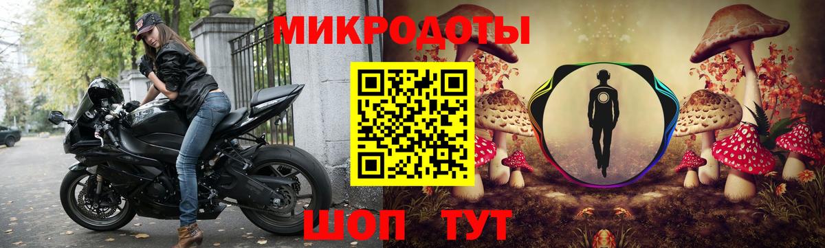 купить  цена  Тавда  Галлюциногенные грибы мицелий 