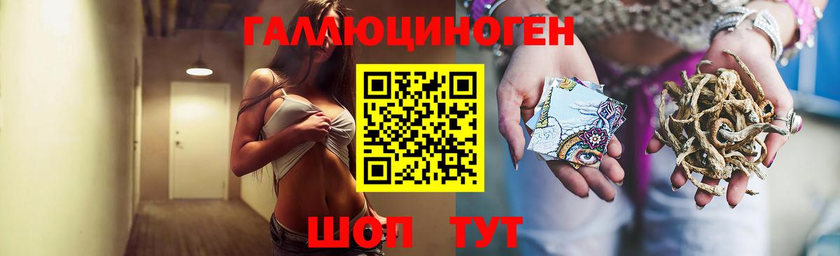 Псилоцибиновые грибы Psilocybe  даркнет сайт  Галлюциногенные грибы ЛСД  Тавда  Вход с VPN 